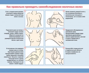 Пам'ятка • Профілактика хвороб молочних залоз Пам'ятка • Профілактика хвороб молочних залоз